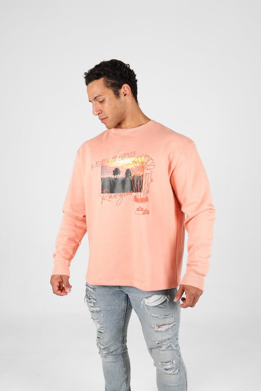 The LA Dream Sweatshirt - RG521